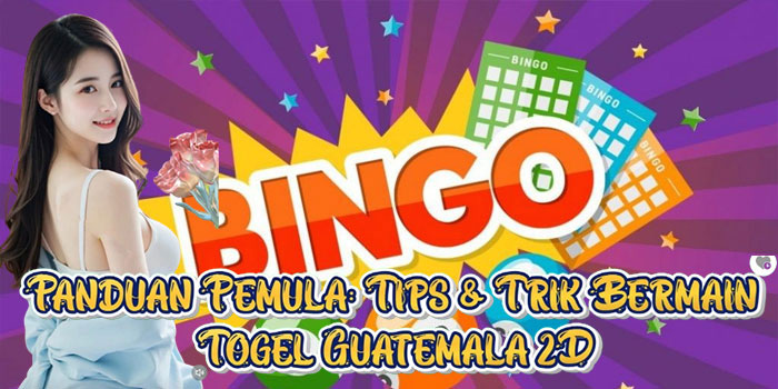 Trik-Bermain-Togel-Guatemala-2D